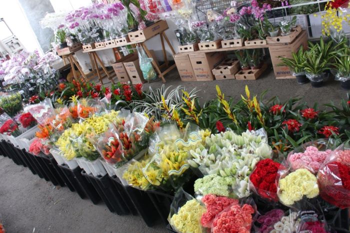 Mercado de Flores deve aumentar vendas em até 15% com a chegada da primavera