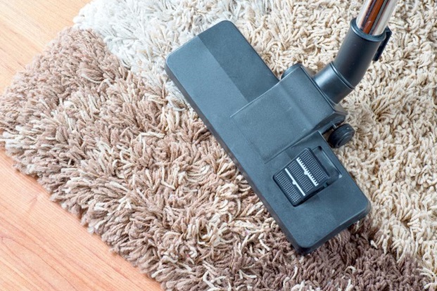 Livre-se dos ácaros e melhore sua saúde