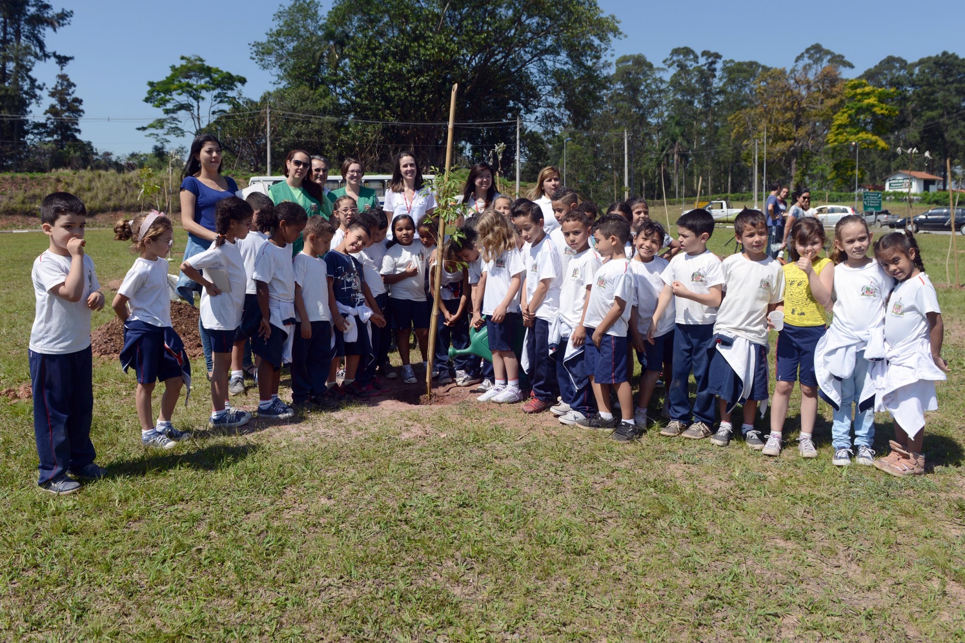 Alunos de SBC plantam mudas para lembrar Dia da Árvore