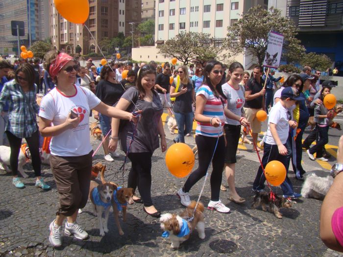Cãominhada,também arrecada ração para pets abandonados