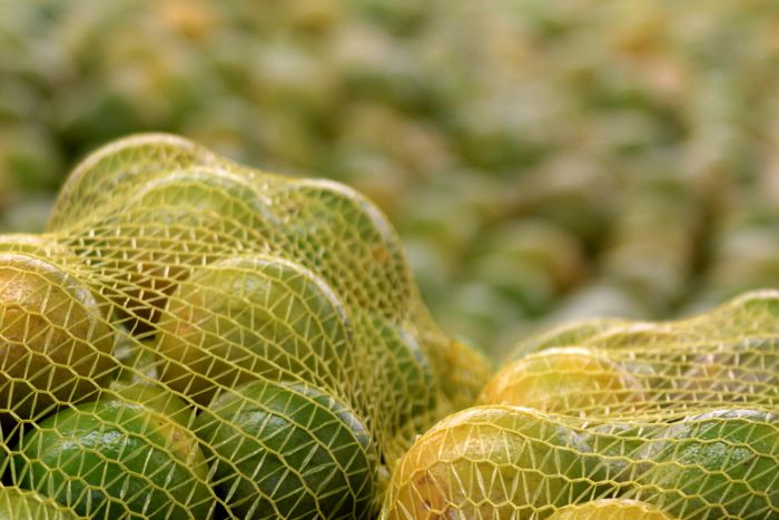 Preço da cesta na região se mantém estável no fechamento de outubro