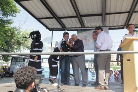 CASOS DE DENGUE CRESCEM, E CIDADES SE UNEM NAS DIVISAS