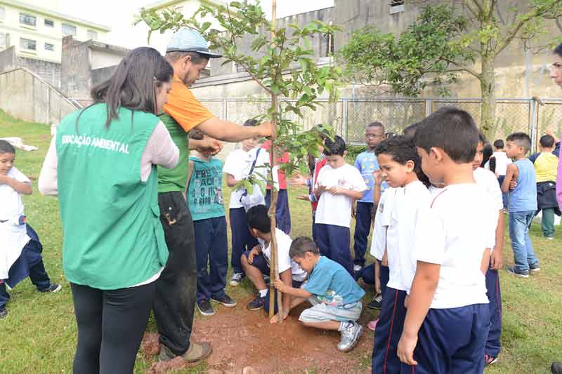 Alunos da rede pública encerram ano com mostra cultural e plantio de mudas