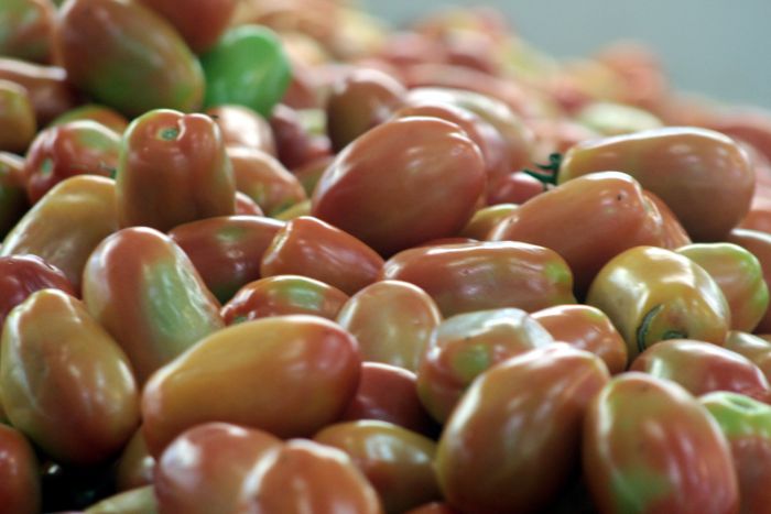 Preço da cesta básica volta a ficar estável na região do Grande ABC