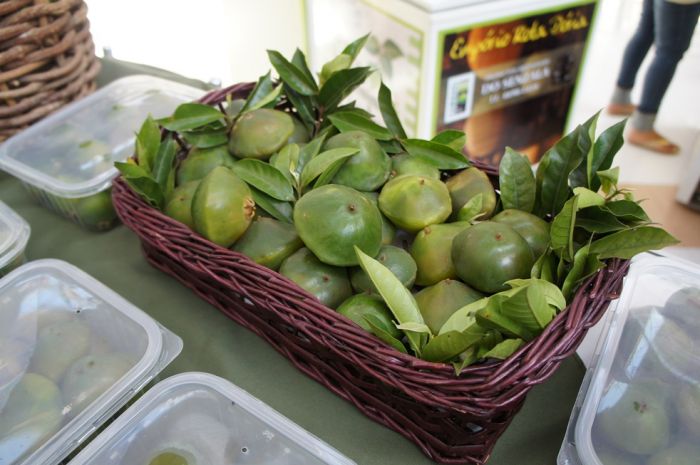 Concurso de fotografia mobile tem o fruto do cambuci como tema