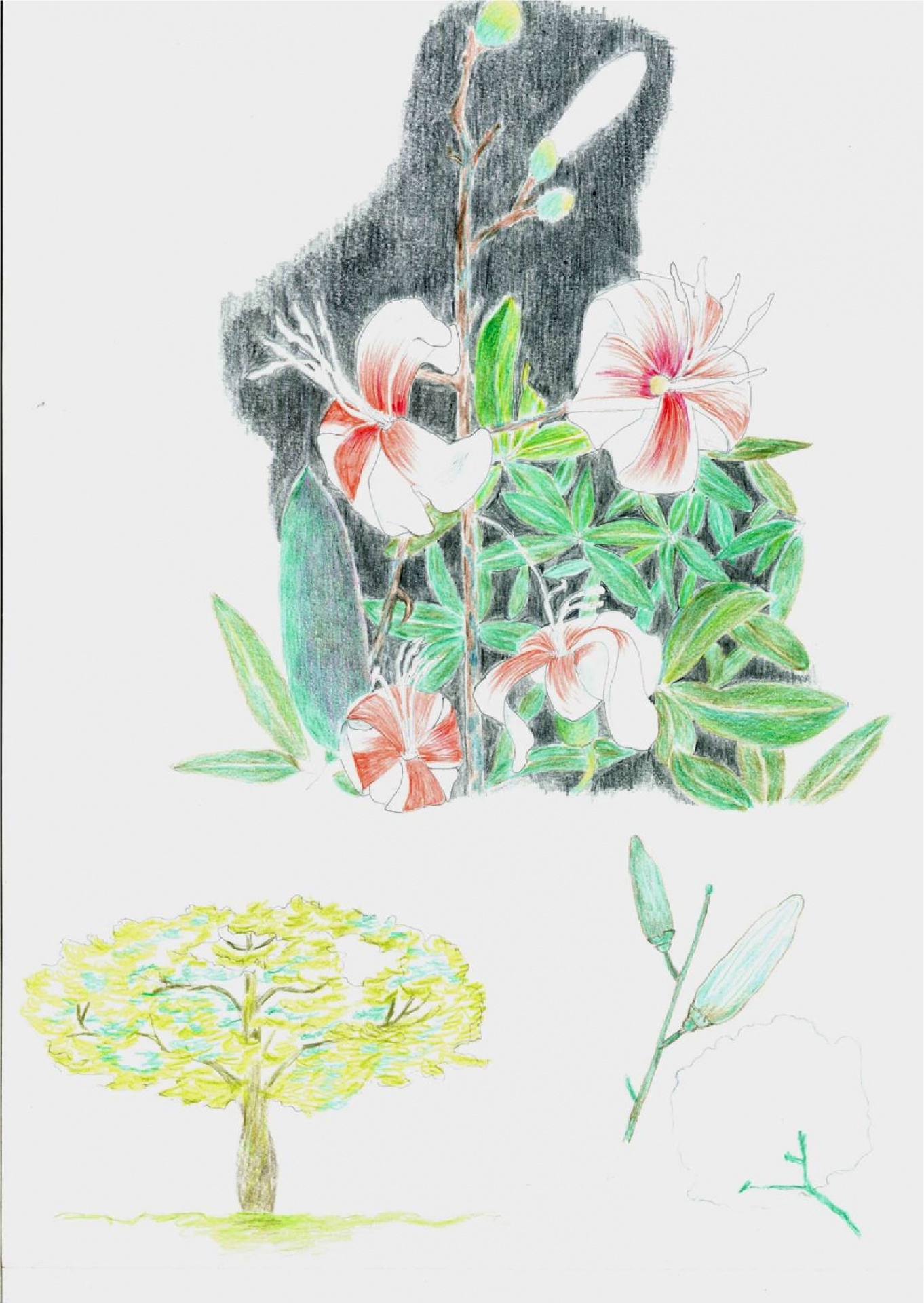 Shopping Praça da Moça homenageia mulheres com promoções temáticas e exposição