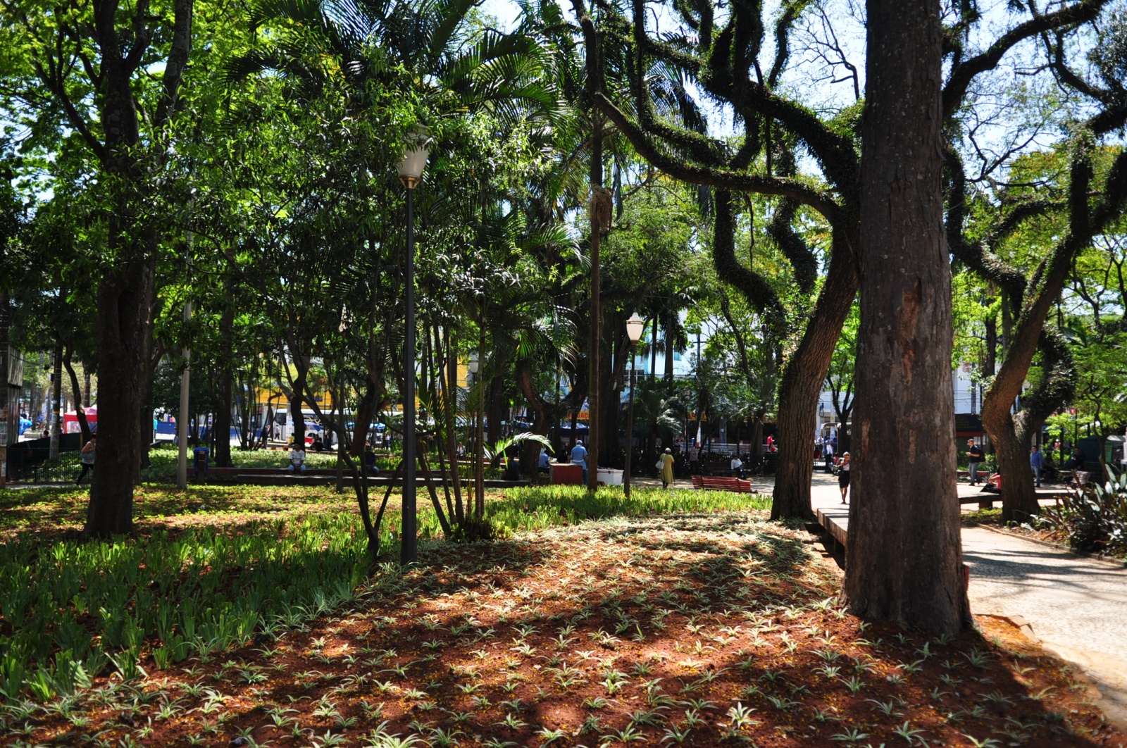 Melhorias na paisagem urbana em Diadema