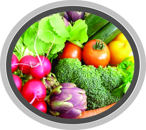 Secretaria de Segurança Alimentar oferece curso Nutrição e Saúde sem Desperdício