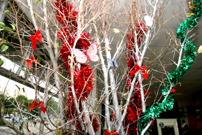 Árvore dos Desejos é montada em São Bernardo