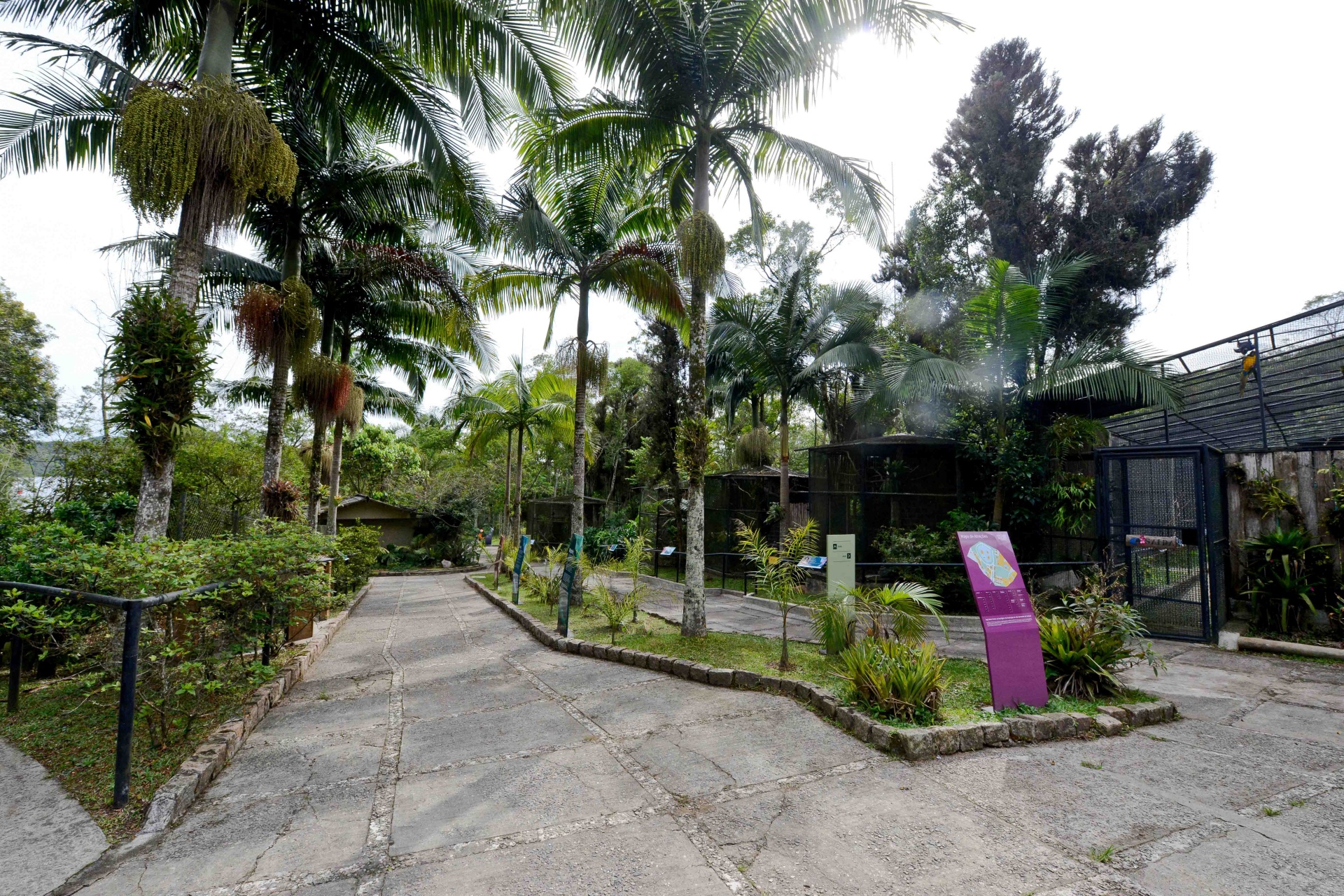 Com foco na reabilitação, Zoológico de São Bernardo já resgatou 287 animais em 2017