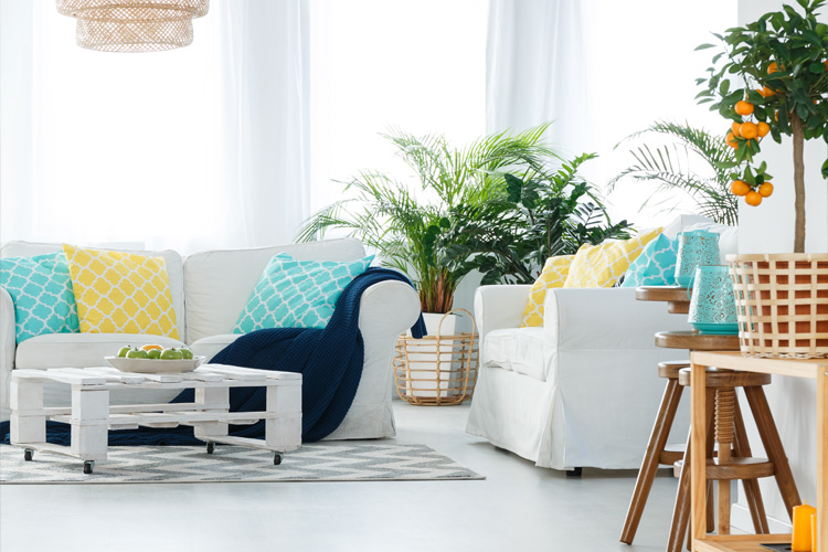 Já ouviu falar em test-drive de apartamento?