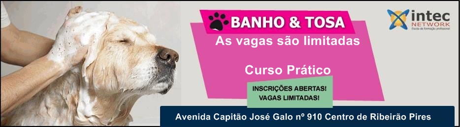 Curso de Banho & Tosa.