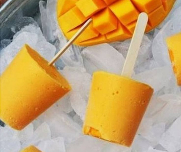 Aprenda a fazer a Receita do picolé ou sorbet de frutas