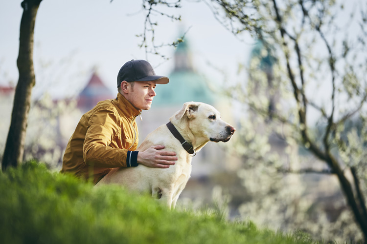 O que você precisa saber para viajar com o seu pet?