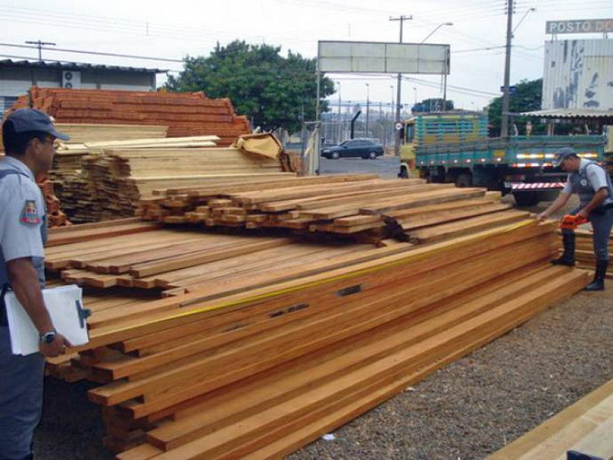 Sistema que controla produção de madeira nativa de Mato Grosso terá padrões europeus