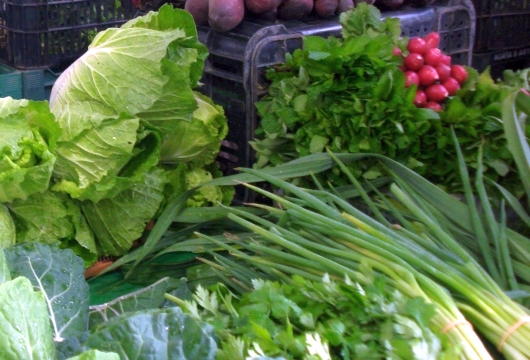 Confira dicas de alimentação equilibrada para quem sofre com a gastrite