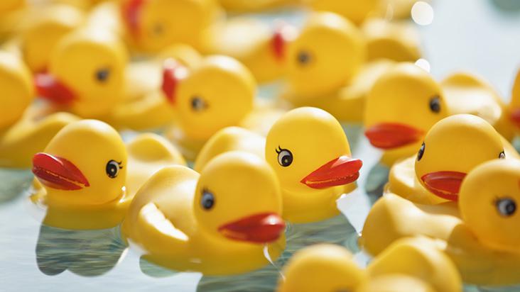 Conheça os procedimentos para higienizar os brinquedos das crianças