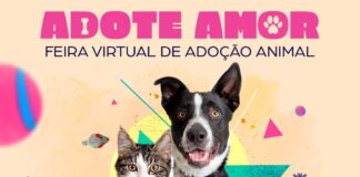 Diadema lança site “Adote Amor – Feira Virtual de Adoção Animal”