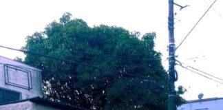 Usuários reclamam da situação dos pontos de ônibus