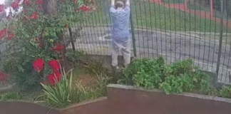 Homem pula grade de prédio e rouba as grades de bueiro e armação da lixeiras