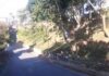 Cachorros são carbonizado no meio de rua em Santo André