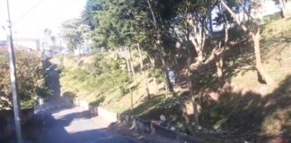 Cachorros são carbonizado no meio de rua em Santo André