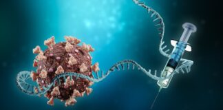 As vacinas protegem das diferentes variantes com a mesma eficácia?