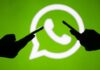 WhatsApp ou WhatsApp Business: entenda qual é a melhor opção para o seu negócio?