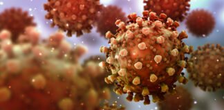 Estudo indica que COVID-19 afeta transplantados de forma desigual