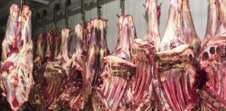 China retoma importação de carne brasileira