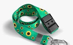 Projeto de lei Girassol em Santo André