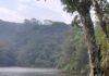 Adolescente de 16 anos morre afogado no Parque do Pedroso