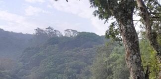 Adolescente de 16 anos morre afogado no Parque do Pedroso