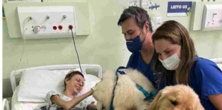 Em São Bernardo, terapia com animais humaniza tratamento dos pacientes oncológicos