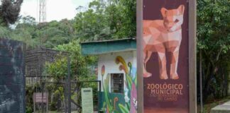 Zoológico Municipal fecha temporariamente para obras de melhorias