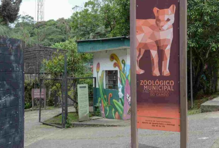 Screenshot_20221215-150228_Chrome