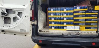 Guarda Civil Municipal de São Caetano prende homem por roubo de carga e liberta motorista no Bairro Nova Gerty