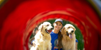 Pet Sitter: profissionais ganham até R$ 6 mil para trabalhar como babá de pet