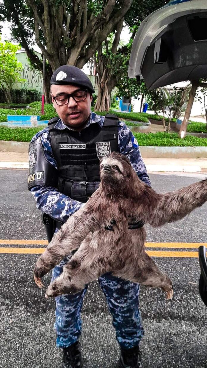 FB_IMG_1673292899212