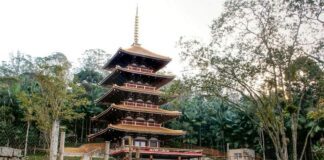 Torre de Miroku retoma passeios com saída do Parque Orienta