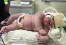 “BEBÊ GIGANTE” NASCE COM MAIS DE SETE QUILOS E QUASE 60 CENTÍMETROS