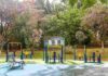 São Bernardo conquista academia e playgrounds adaptados para pessoas com deficiência
