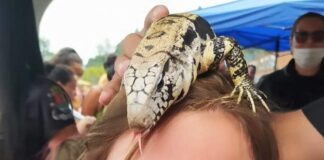 Meio ambiente fará intervenção na Vila do Doce no Dia da Educação Ambiental