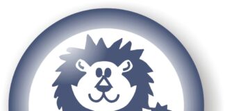 Lar Pequeno Leão abre vaga de mãe social