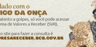 Veja como consultar dinheiro esquecido pelo CPF