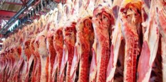 Consumo de carne bovina no Brasil atinge menor nível em 18 anos