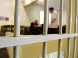 Foto: Daniel Derevecki/Arquivo/Gazeta do Povo