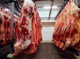 Foto Brasil Destaque.