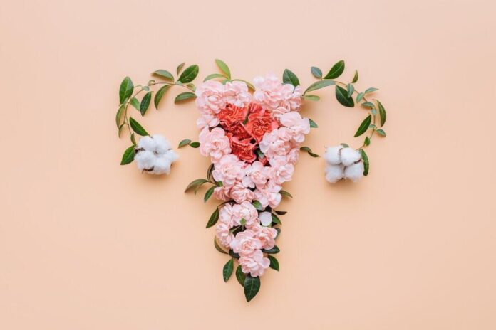 Imagem Mikhaylovskiy Shutterstock