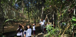 Borboletário de Diadema reabre para visitas agendadas